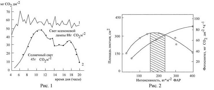 Рис. 1. Суточное усвоение СО2 (в расчете на кв.м площади листьев) у растений подсолнечника, выращенных на свету ксеноновых ламп (1) и при естественном освещении (2). Рис. 2. Зависимость фотосинтеза (1) и роста площади листьев (2) от интенсивности света у растений редиса. Заштрихованная область - диапазон интенсивностей, наиболее благоприятных для выращивания светолюбивых растений